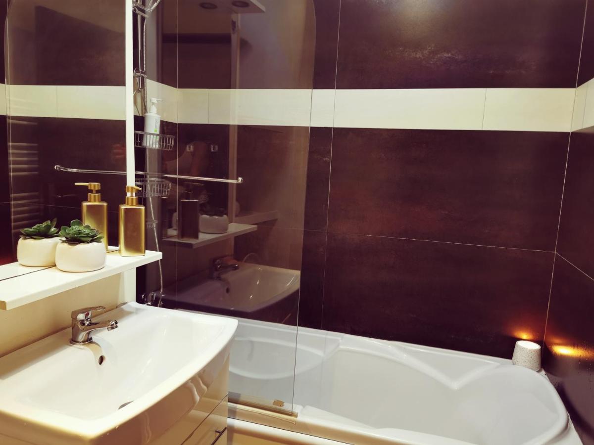 Nice & Economic Studio Baia Mare Dış mekan fotoğraf