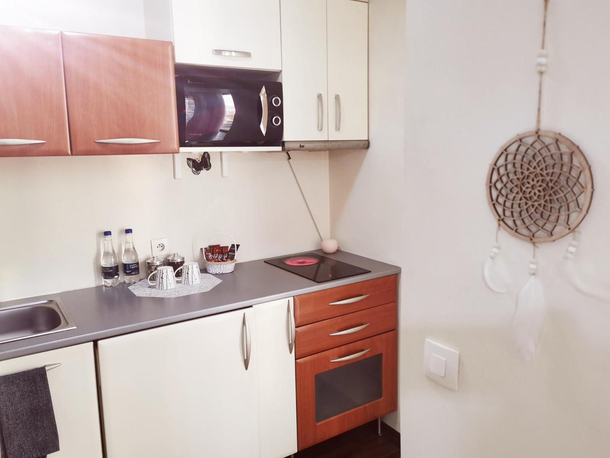 Nice & Economic Studio Baia Mare Dış mekan fotoğraf